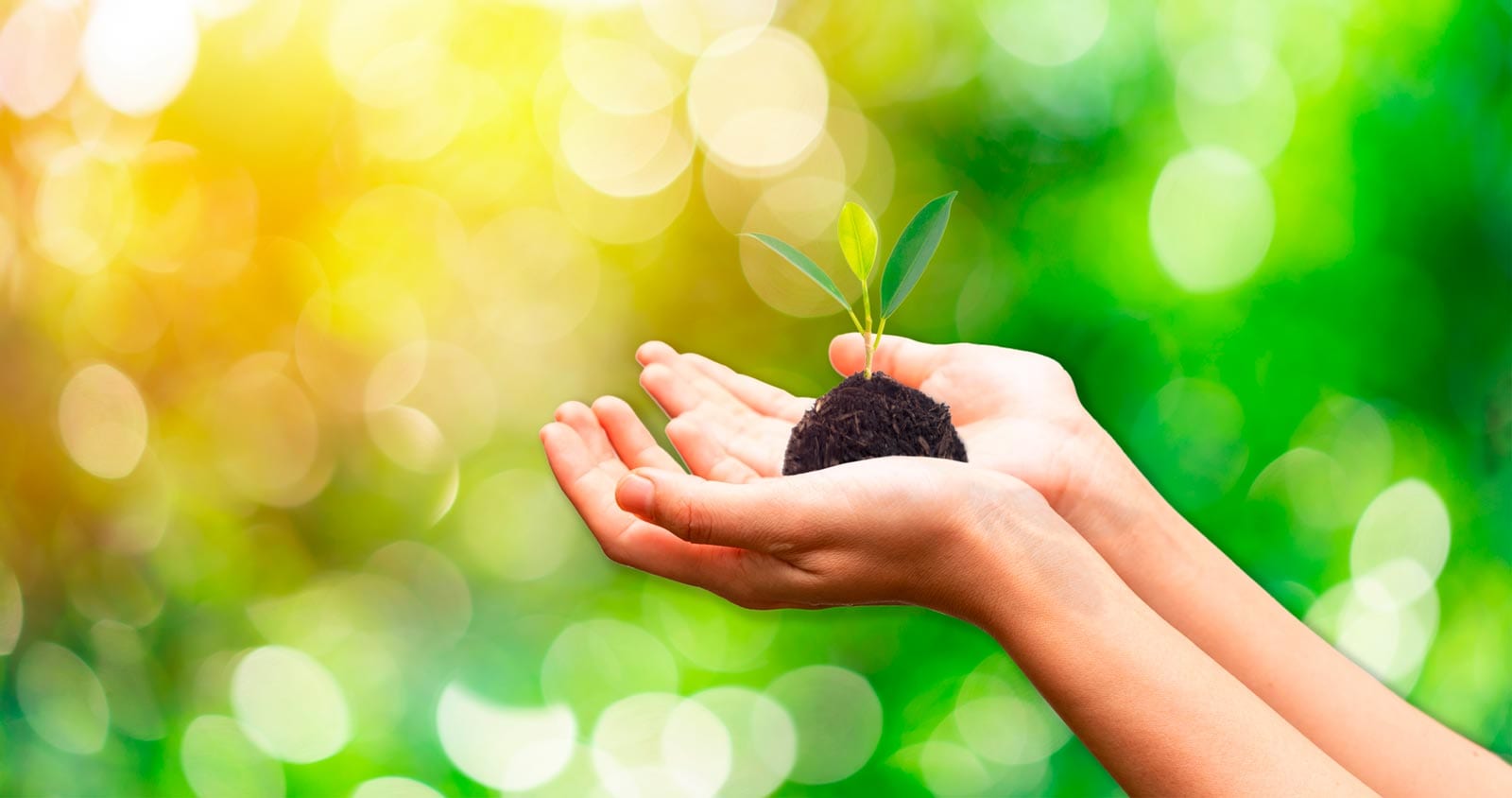 Sustentabilidade